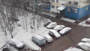 Снег выпал на севере Амурской области - gtrkamur.ru