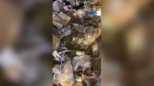 Горы бутылок и контейнеров обнаружил житель Свободного на объездной дороге - gtrkamur.ru