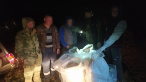 Для задержания сборщиков конопли в Приамурье полицейскому пришлось применить оружие - gtrkamur.ru