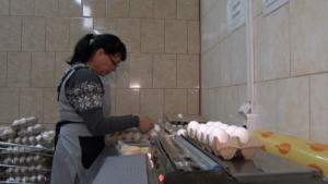 Амурское продуктовое предприятие вышло на новый уровень благодаря нацпроекту - gtrkamur.ru