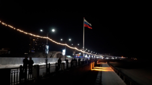 Режим повышенной готовности введен в Приамурье в связи с праздниками - gtrkamur.ru