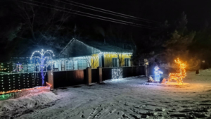 Новогоднюю сказку создают амурчане в своих домах и дворах - gtrkamur.ru
