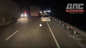 Двое детей пострадали в аварии на федеральной трассе в Приамурье - gtrkamur.ru