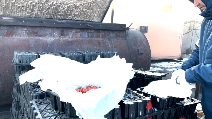 Более 50 тонн зараженных овощей и фруктов сожгли в Приамурье - gtrkamur.ru