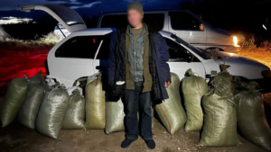 За 118 килограммов марихуаны амурчанин может надолго лишиться свободы - gtrkamur.ru