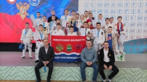 Больше 20 медалей привезли амурские единоборцы с фестиваля в Хабаровске - gtrkamur.ru