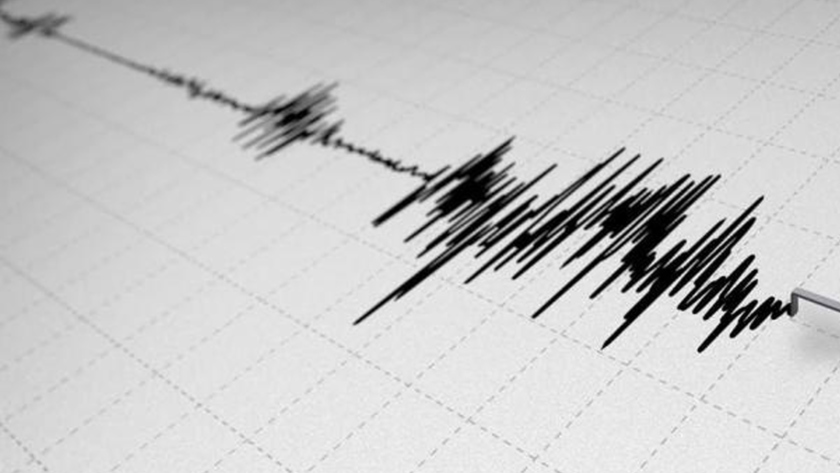 Легкое землетрясение зафиксировали на территории Амурской области - gtrkamur.ru