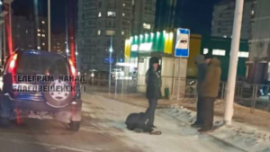 Пешеход попал под колеса иномарки в микрорайоне Благовещенска - gtrkamur.ru