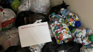 В экологическом проекте «Водорослям крышка» примут участие более 44 тысяч амурчан - gtrkamur.ru