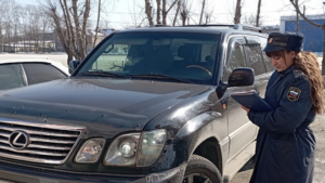 В Приамурье угроза ареста спецтехники заставила золотодобытчика возмещать ущерб - gtrkamur.ru