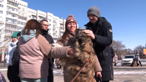 Пообниматься с собаками и помочь больным детям смогли благовещенцы - gtrkamur.ru
