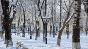 Ниже нуля на столбиках термометров: до конца недели потепление не ожидается в Приамурье - gtrkamur.ru