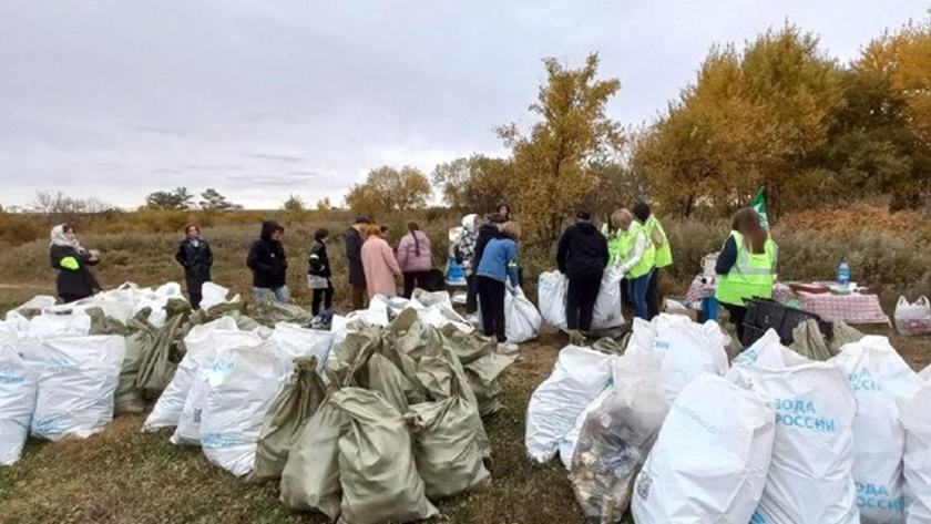 Лучшие экологические проекты выбрали в Приамурье для участия в престижном форуме - gtrkamur.ru