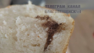 В благовещенском магазине продали булку хлеба с клоком волос - gtrkamur.ru