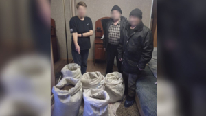 Амурчанка хранила на балконе мешки с марихуаной - gtrkamur.ru