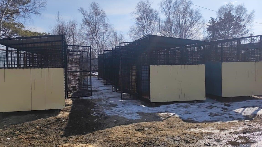 Межмуниципальный приют для бродячих собак в Шимановске стал больше - gtrkamur.ru