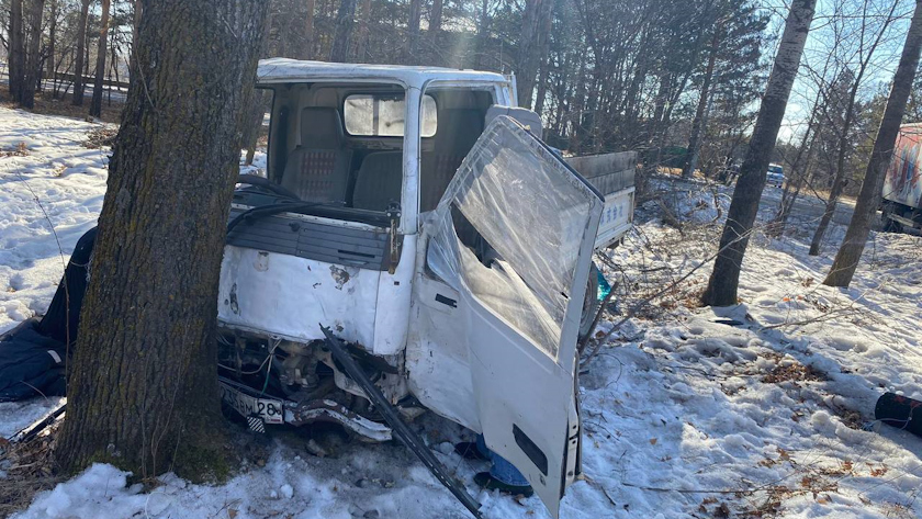 Водитель погиб, пассажир пострадал: в селе Озерное грузовик слетел с дороги - gtrkamur.ru