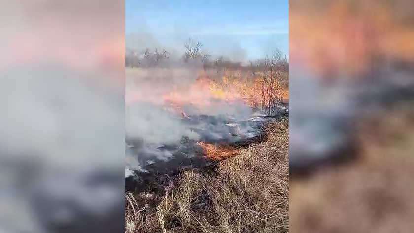 В Благовещенске и округе введут особый противопожарный режим - gtrkamur.ru