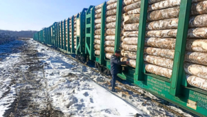 Более 80 тысяч кубометров леса с начала года отправили из Приамурья в Китай - gtrkamur.ru