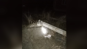 Из-за нерадивого водителя грузовика несколько объектов в Сковородинском округе остались без света - gtrkamur.ru