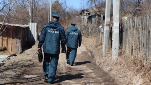 Двоих подростков поймали на поджоге травы в Свободном - gtrkamur.ru