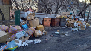 Получающая субсидию на вывоз мусора в Белогорске компания отказывается это делать - gtrkamur.ru