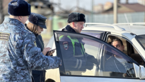 Благовещенка не оплатила вовремя 100 дорожных штрафов и чуть не лишилась авто - gtrkamur.ru