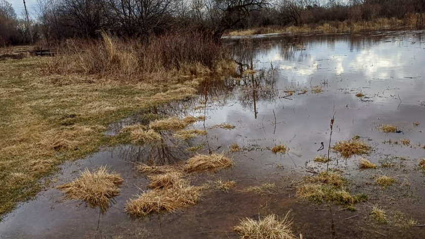 В Мазановском районе большая вода захватила несколько отрезков дорог и приусадебные участки - gtrkamur.ru