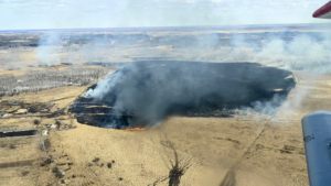 Более 30 термоточек зафиксировали системы мониторинга в Приамурье - gtrkamur.ru