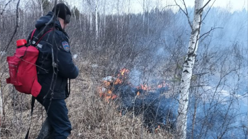 Амурские пожарные борются с огнем на четырех лесных пожарах - gtrkamur.ru