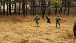 Последствия условной аварии на мазутопроводе в Белогорске ликвидировали военные ВВО - gtrkamur.ru