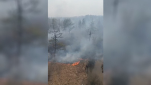 Природный пожар в Бурейском округе бушует уже неделю - gtrkamur.ru