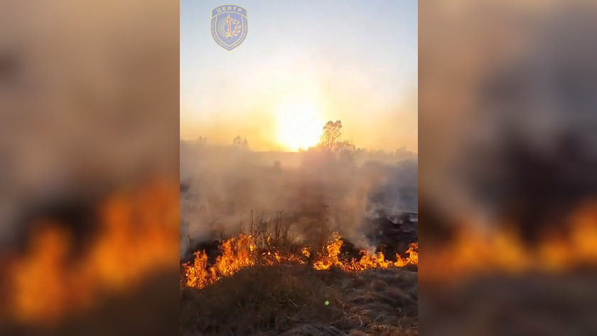 Пожары на площади более 44 тысяч гектаров потушили в нескольких округах Приамурья - gtrkamur.ru