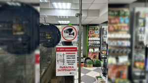 Амурские энергетики напомнили о запрете на рыбалку вблизи ЛЭП - gtrkamur.ru