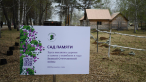 В Благовещенске «Сад Памяти» в этом году высадят возле новой школы в микрорайоне - gtrkamur.ru