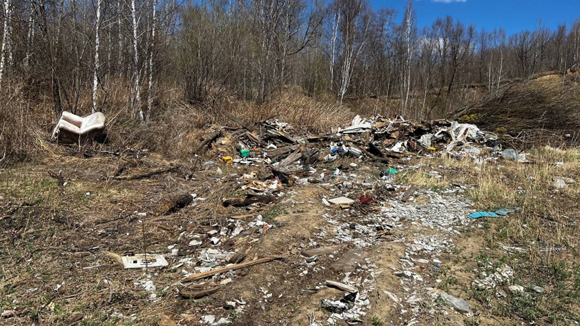 Почти 300 квадратов амурских сельхозземель заполонили свалки - gtrkamur.ru