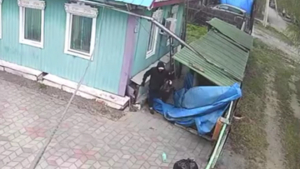 Поел, выпил, украл: в Белогорске поймали мужчину, залезшего в чужой дом - gtrkamur.ru