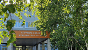 О помощи пострадавшим в чудовищной аварии в Благовещенске рассказали в Минздраве области - gtrkamur.ru