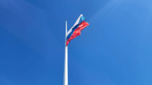 Амурчан приглашают поучаствовать в онлайн-флешмобе «Цвета российского флага» - gtrkamur.ru