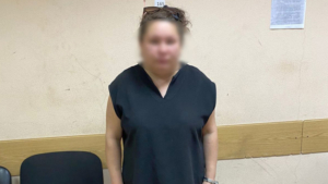 Благовещенец помог полицейским поймать женщину, подозреваемую в поджоге - gtrkamur.ru