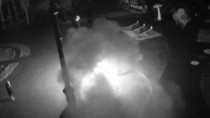 Возможного поджигателя фигуры тигра задержали в Благовещенске - gtrkamur.ru