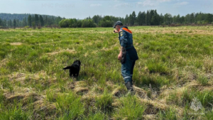 В Приамурье продолжают искать 47-летнего мужчину - gtrkamur.ru