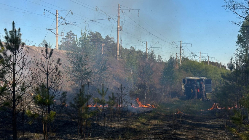 Амурские леса охватили 14 пожаров - gtrkamur.ru