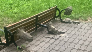 Подростки снимали на камеру свои варварские действия в парке Белогорска - gtrkamur.ru