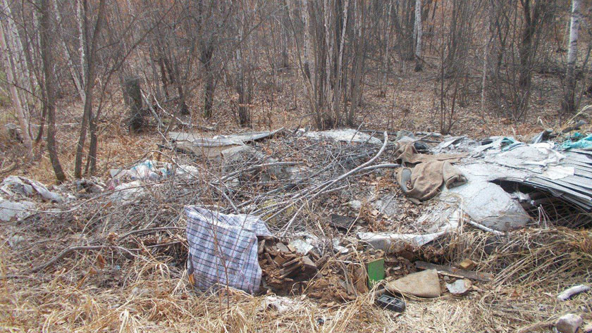 Четыре несанкционированных свалки ликвидировали в Благовещенском округе - gtrkamur.ru