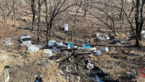 Нелегальную свалку рядом с мазановским селом обязали убрать окружные власти - gtrkamur.ru