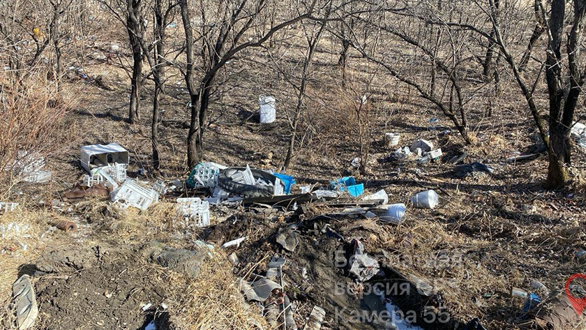 Нелегальную свалку рядом с мазановским селом обязали убрать окружные власти - gtrkamur.ru