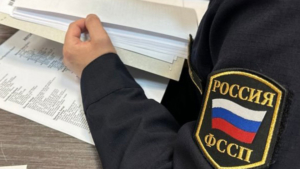 Амурчанка проведет полгода в колонии за неуплату алиментов - gtrkamur.ru