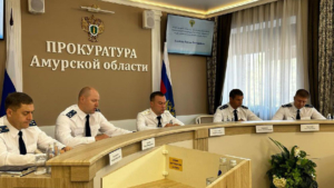 Более 230 млн рублей взыскали с амурского экс-чиновника с помощью прокуратуры - gtrkamur.ru