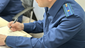 В Мазановском округе регоператора обязали сделать перерасчет за не вовремя вывезенный мусор - gtrkamur.ru